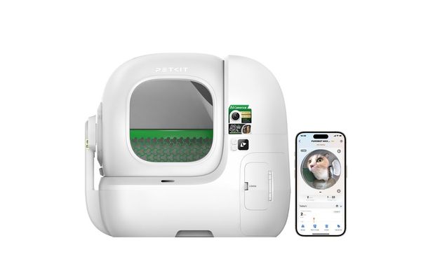 Babalara Zaman, Kedilere Konfor: EVOFONE’dan Petkit Purobot Max Pro 2<