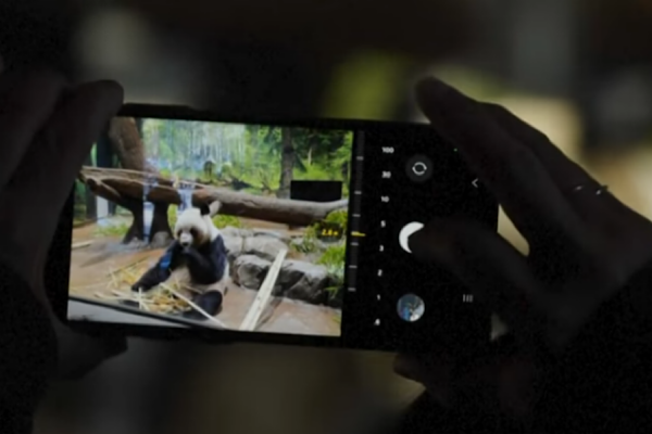 Binlerce Japon, Çin'e iade edilecek dev pandalarına veda etti<