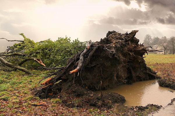 MGM: Kuvvetli rüzgar ve fırtına bekleniyor<