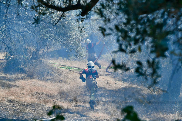 Bornova’daki orman yangını kontrol altına alındı<