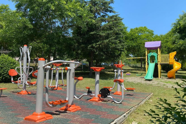 Düzce Belediyesi Park ve Bahçeler Müdürlüğü 5 aylık faaliyet raporunu paylaştı<