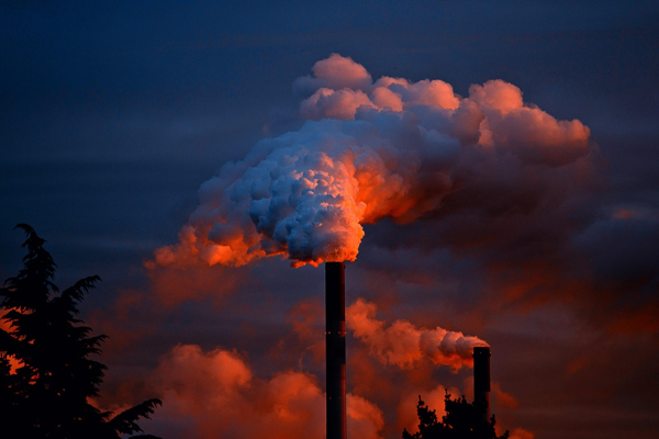 BM: Çevre kirliliği her yıl yaklaşık 9 milyon ölüme neden oluyor<