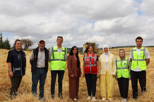 Eskişehir'de ata tohumu Kavılca buğdayında bereketli hasat: 73 dekardan 17 ton ürün<