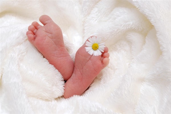 Gaziantep’te anne ve bebek sağlığına yeni model: “Her Gebeye Bir Ebe Projesi