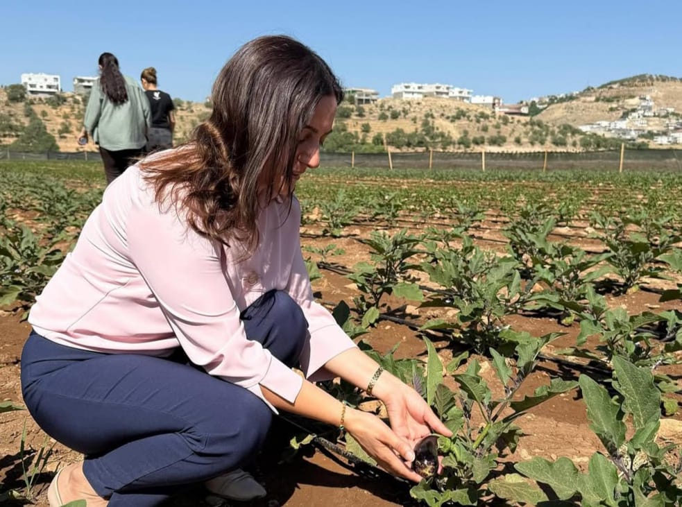 Mazıdağı Kadın Kent Bostanı'nda ilk hasat 