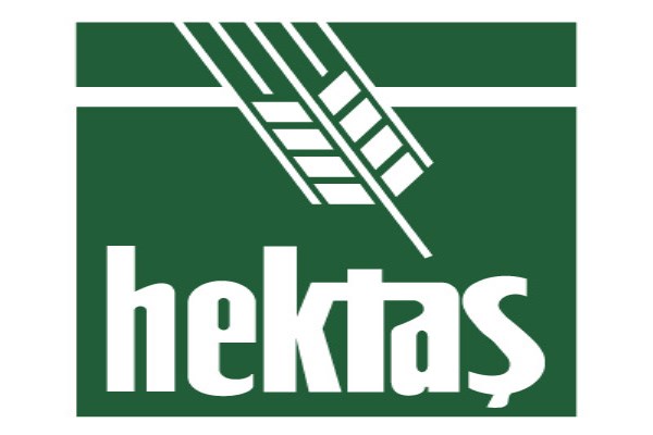 Hektaş'ın ilk 3 aylık rakamları