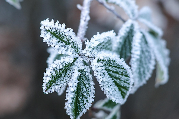 MGM: Hafta ortasından itibaren kuzey ve batıda hava sıcaklıkları düşecek<
