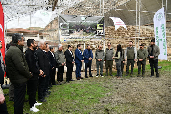 Vali Şıldak Kelaynakların doğaya salınma programına katıldı<