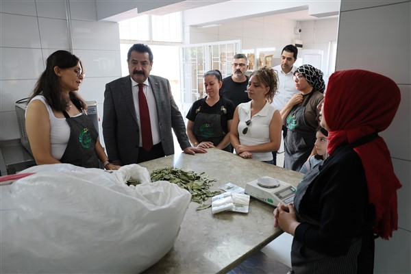Başkan Ertemur, çeşitli incelemelerde bulundu