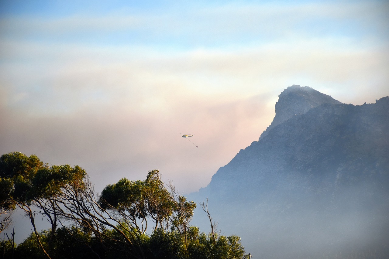 TSK'ya ait 2 helikopter Bodrum'da devam eden yangına destek veriyor