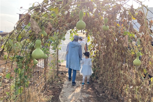 Diyarbakırlı kadınlar, Agroekoloji İklim Okulu’nu gezdi<