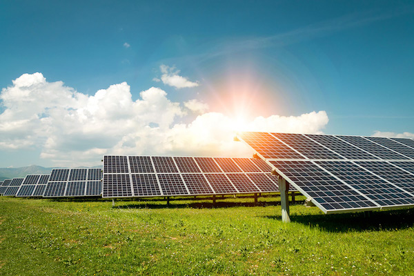 Anavarza Bal, güneş enerjisi santralıyla yılda 700 bin kilowatt enerji üretecek