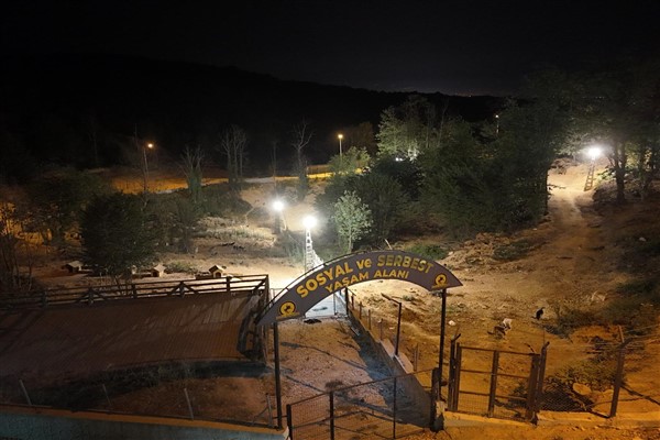 Düzce’de sokak hayvanları için ortak çalışma