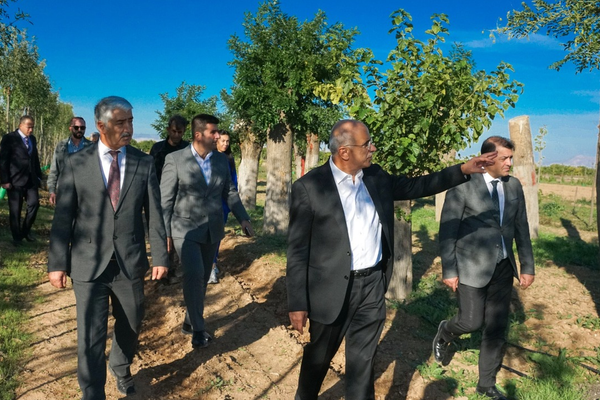 Büyükşehirden yıllık 20 bin fidan ile 50 bin metrekare rulo çim üretimi<