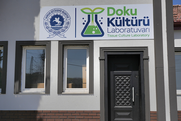 Samsun’da Bitki Doku Kültürü Laboratuvarı açılıyor<