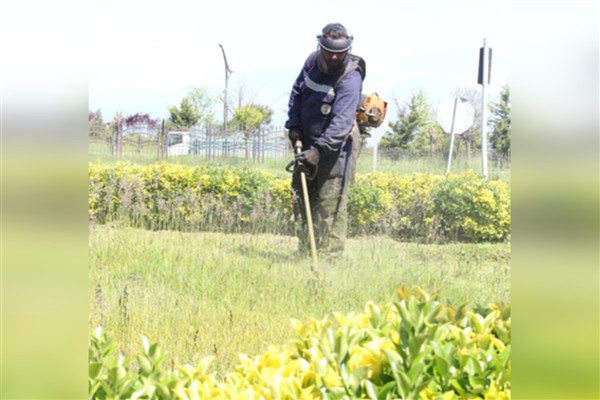 Giresun’da ot biçme ve temizlik çalışmaları hız kazandı 