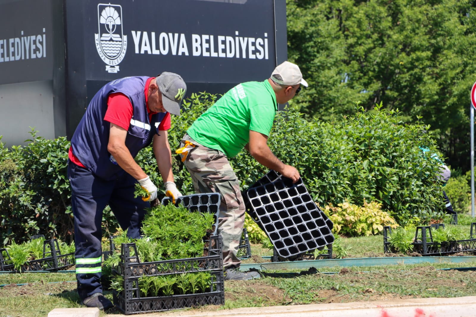 Yalova Belediyesi'nden mevsimlik çiçek dikimi