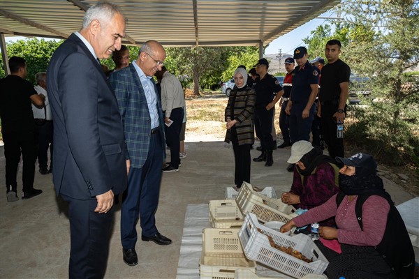 Malatya'da kayısı festivalinin tarihi belli oldu<