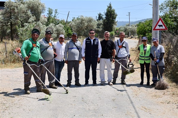 Bodrum’da ot temizliği ve budama çalışmaları <