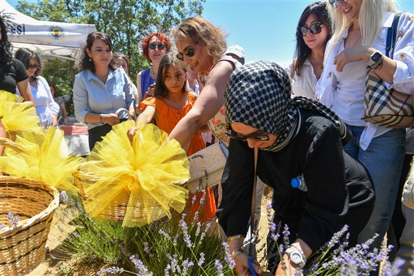 Nallıhan'da “Lavanta Hasat Şenliği” düzenlendi<