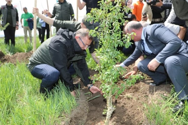 Kars'ta 6 bin 283 fidan toprakla buluşuyor