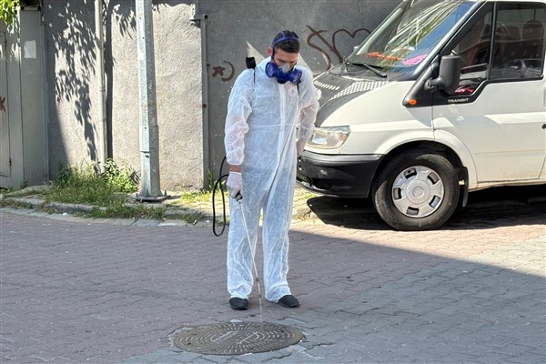 Kağıthane'de haşere ve sineklerle mücadele çalışmaları<