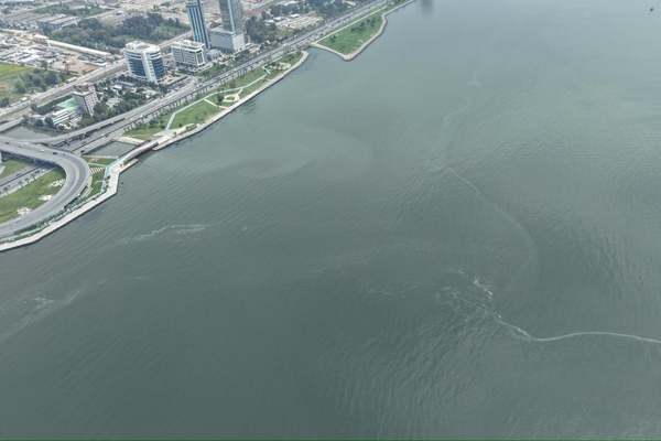 İzmir Körfezi’nde dış kaynaklı kirlilik tespit edildi