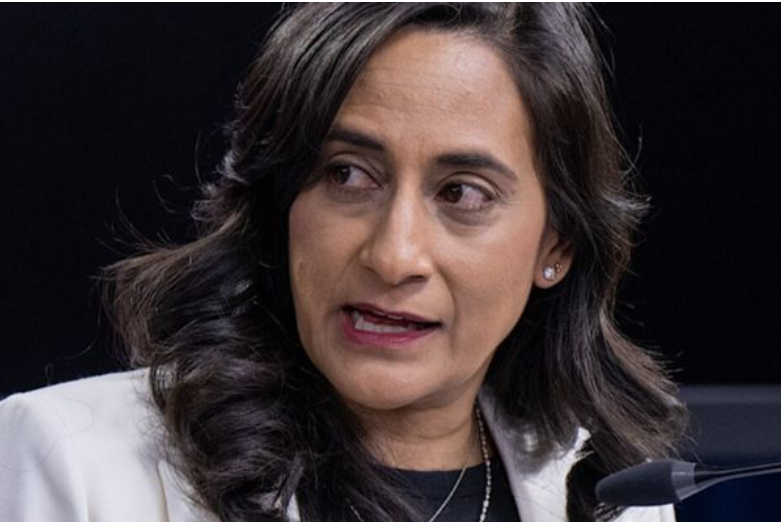 Anand: Kanada küresel sermayenin yeni adresi olmaya hazır<