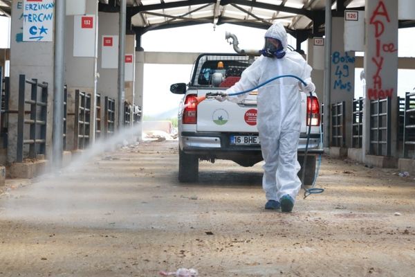 Osmangazi’de kurban pazarları temizlenerek dezenfekte edildi<