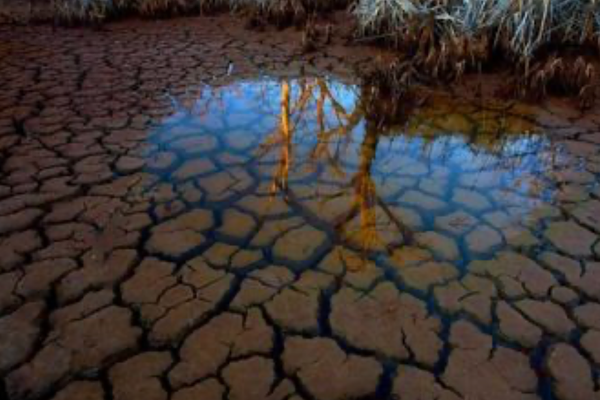 Araştırma: İklim bozulması nedeniyle Avrupa'nın su rezervleri kuruyor