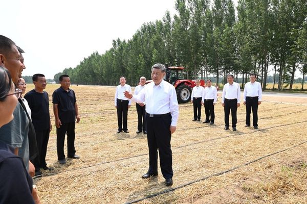 Cumhurbaşkanı Xi her zaman gıda güvenliğine önem veriyor<