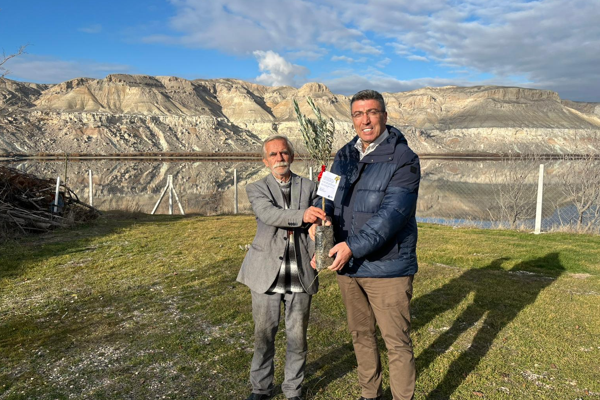 Eskişehir’de üreticilere mavi sertifikalı zeytin fidanı dağıtıldı<