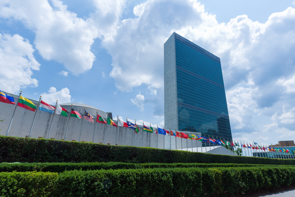 Xi Jinping, BM Filistin Halkıyla Dayanışma Günü'nü kutladı<