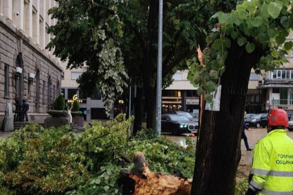 Sofya ve Plovdiv’da fırtına hasarı: Ekipler çalışmalarını sürdürüyor<