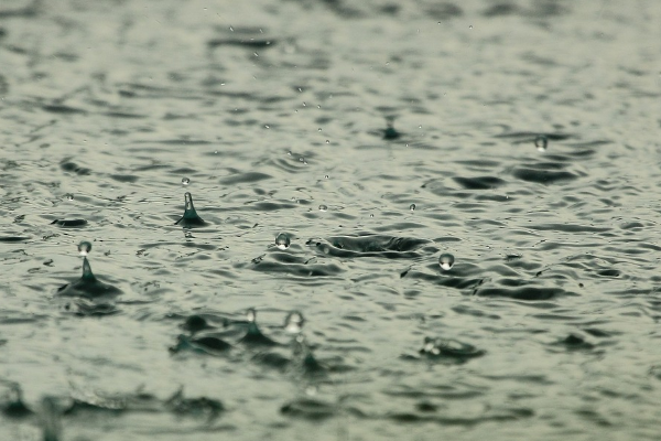 Meteoroloji'den kuvvetli yağış uyarısı<