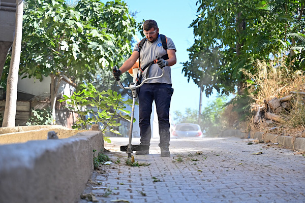 Gölyazı’da bakım, temizlik ve çevre düzenleme çalışması başlatıldı