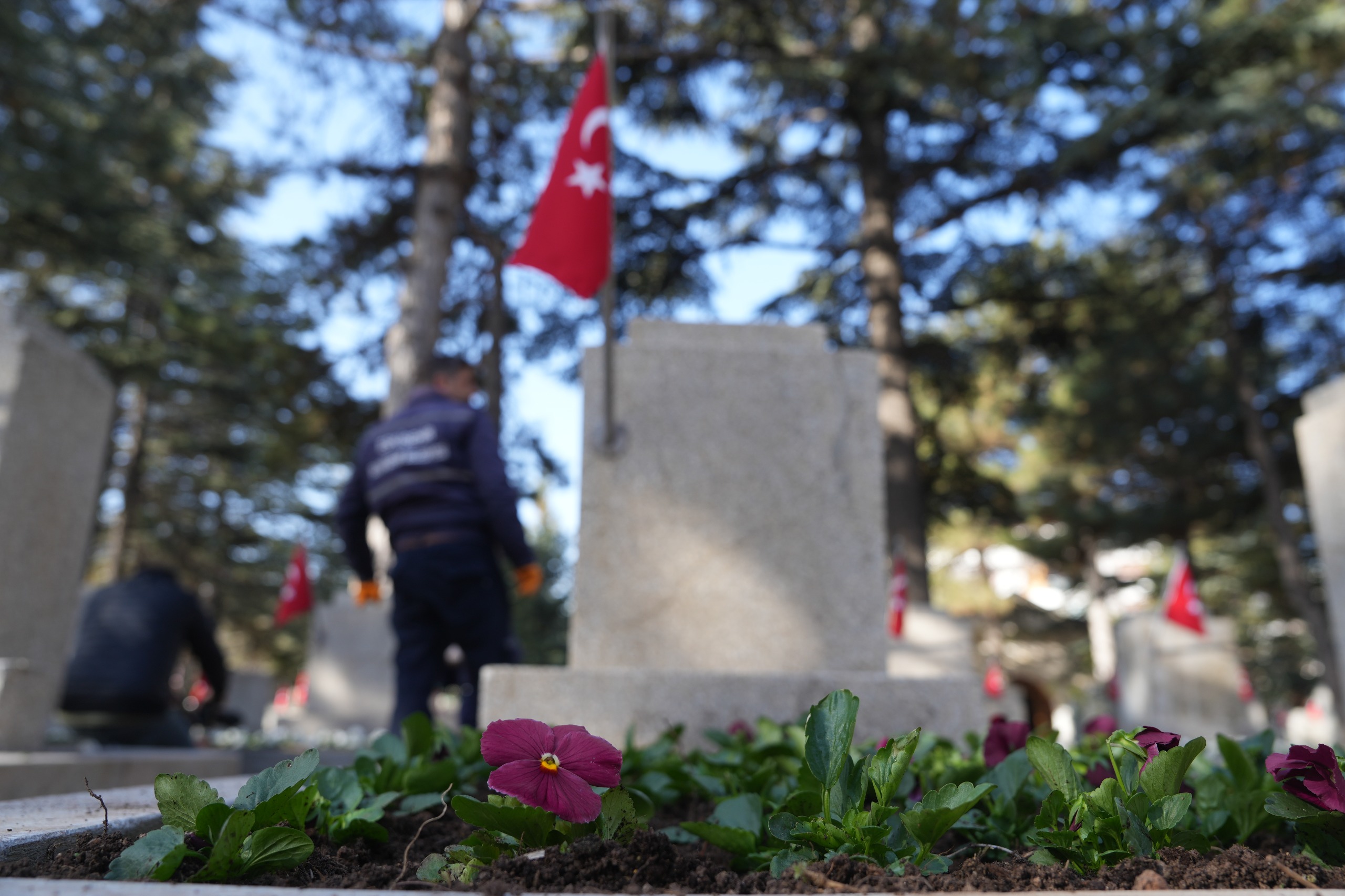 Eskişehir Büyükşehir Belediyesi, şehit mezarlarını çiçeklerle donattı<