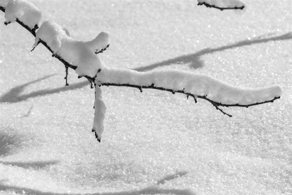 Meteoroloji’den kuvvetli yağış, kar ve buzlanma uyarısı<
