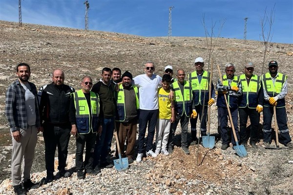 Dereköy’de fidan dikimi devam ediyor<