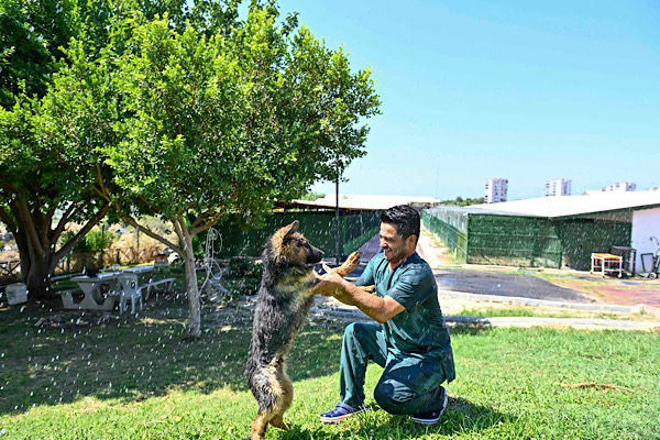Sokak Hayvanları Geçici Bakımevi'nde serinletme çalışmaları sürüyor<