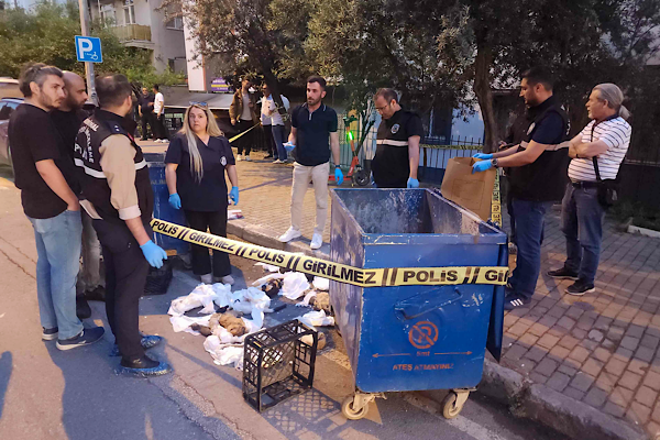 Buca'da konteynerde bulunan hayvan ölüleriyle ilgili inceleme<