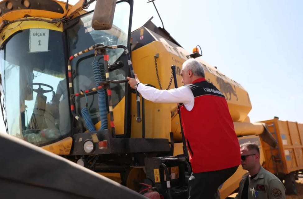Muş Ovası’nda buğday hasadı başladı<