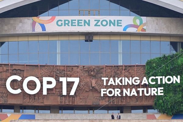 COP17 Başkanı: Çin, müzakerelerin ilerlemesine önemli katkı sağlıyor<