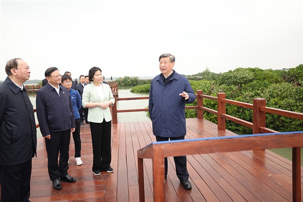 Çin’in Zhanjiang Mangrov Ormanları ve Saihanba orman alanı<