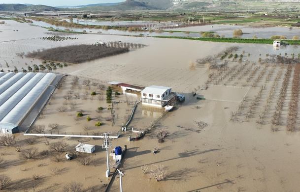 İzmir İtfaiyesi, taşkınlarda mahsur kalan hayvanlar için çalışma başlattı<