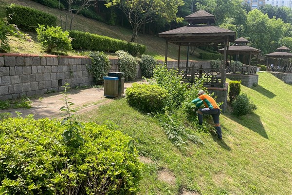 Trabzon Büyükşehir, şehir estetiğini güçlendiriyor<