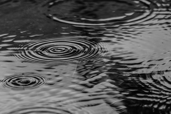 Doğu Karadeniz için kuvvetli yağış uyarısı<