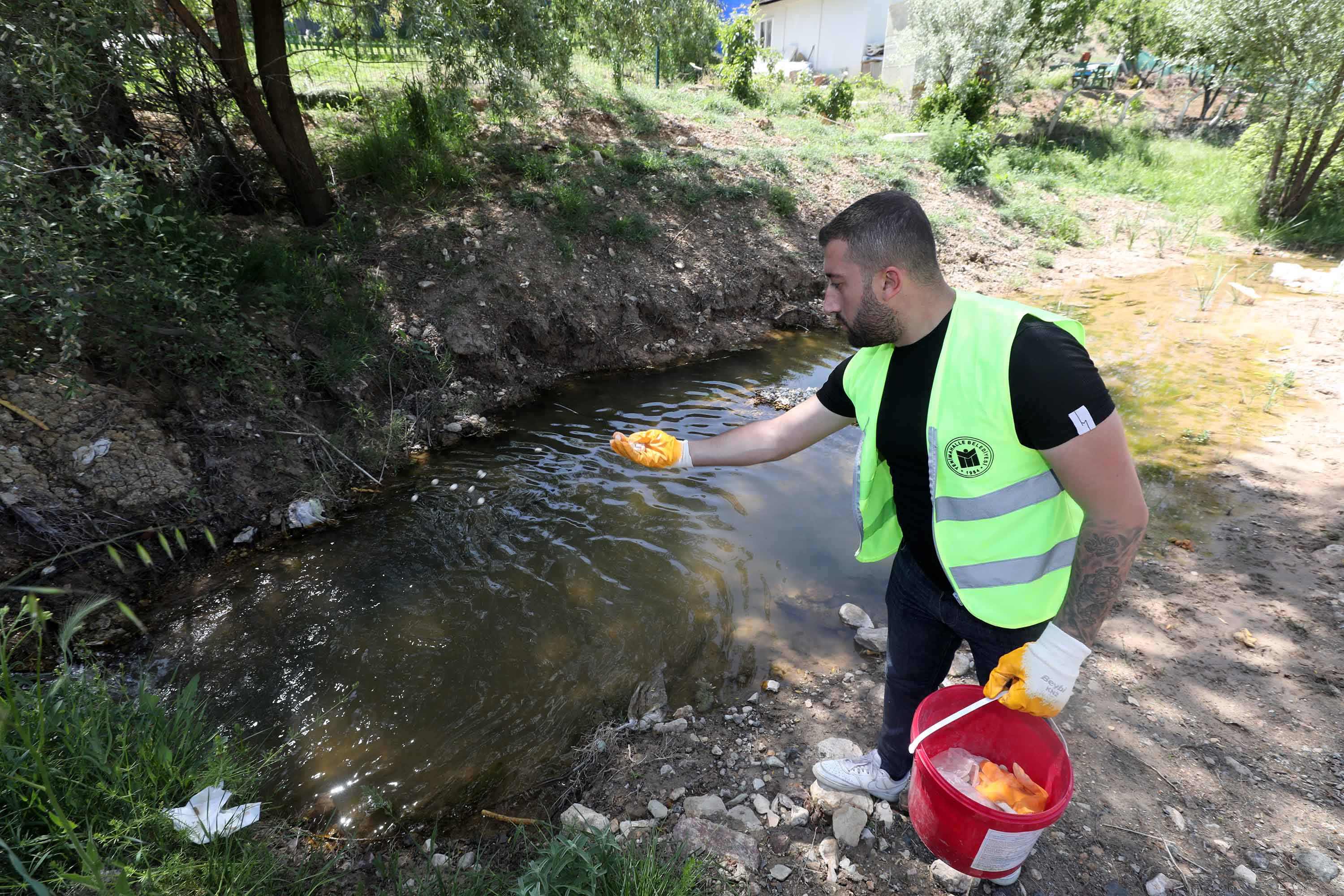 Yenimahalle’de larva mücadelesi başladı<