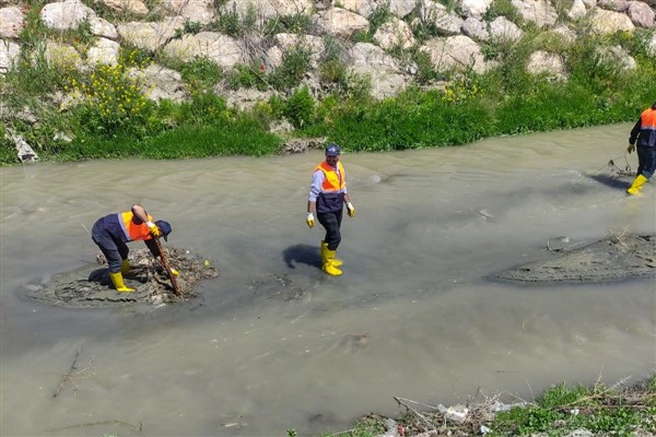 Van'da İnci Kefali’nin göç güzergahındaki dereler temizlendi