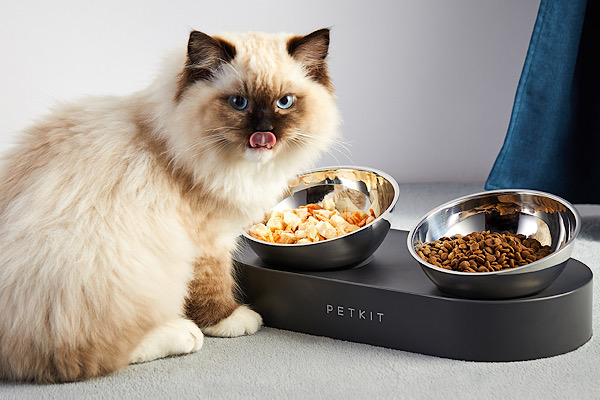 EVOFONE'dan evcil hayvan sahiplerine büyük fırsat!